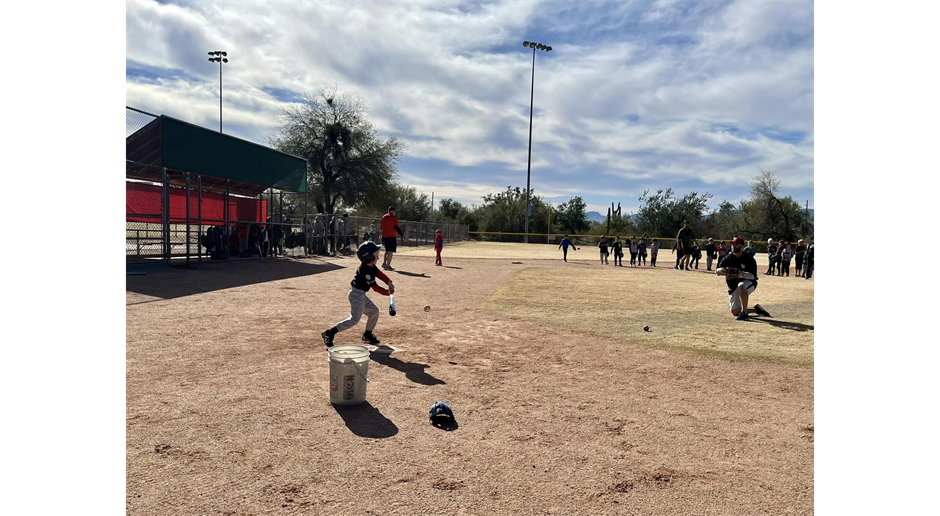 Baseball Knock Of The Dust Clinic
