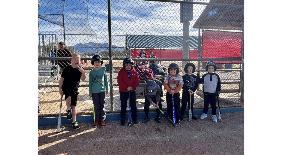 Baseball Knock Of The Dust Clinic